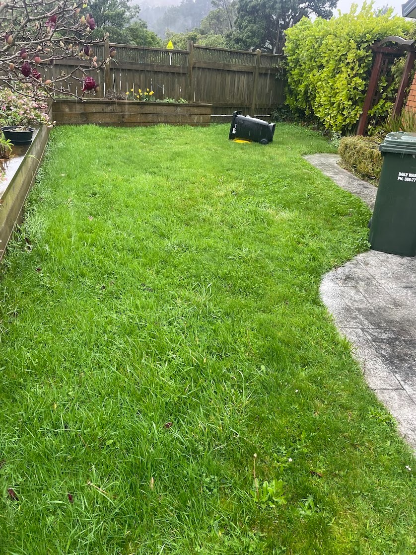 Garden bed before a Pasturesnz cleanup in Wellington