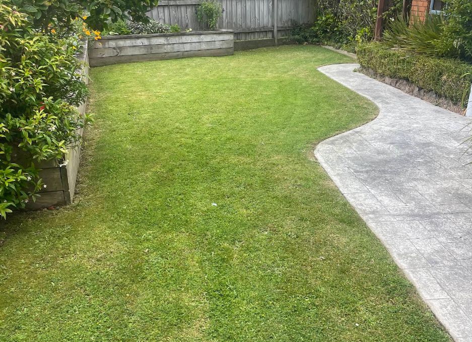 Freshly mowed lawn beside a curved concrete path in Wellington