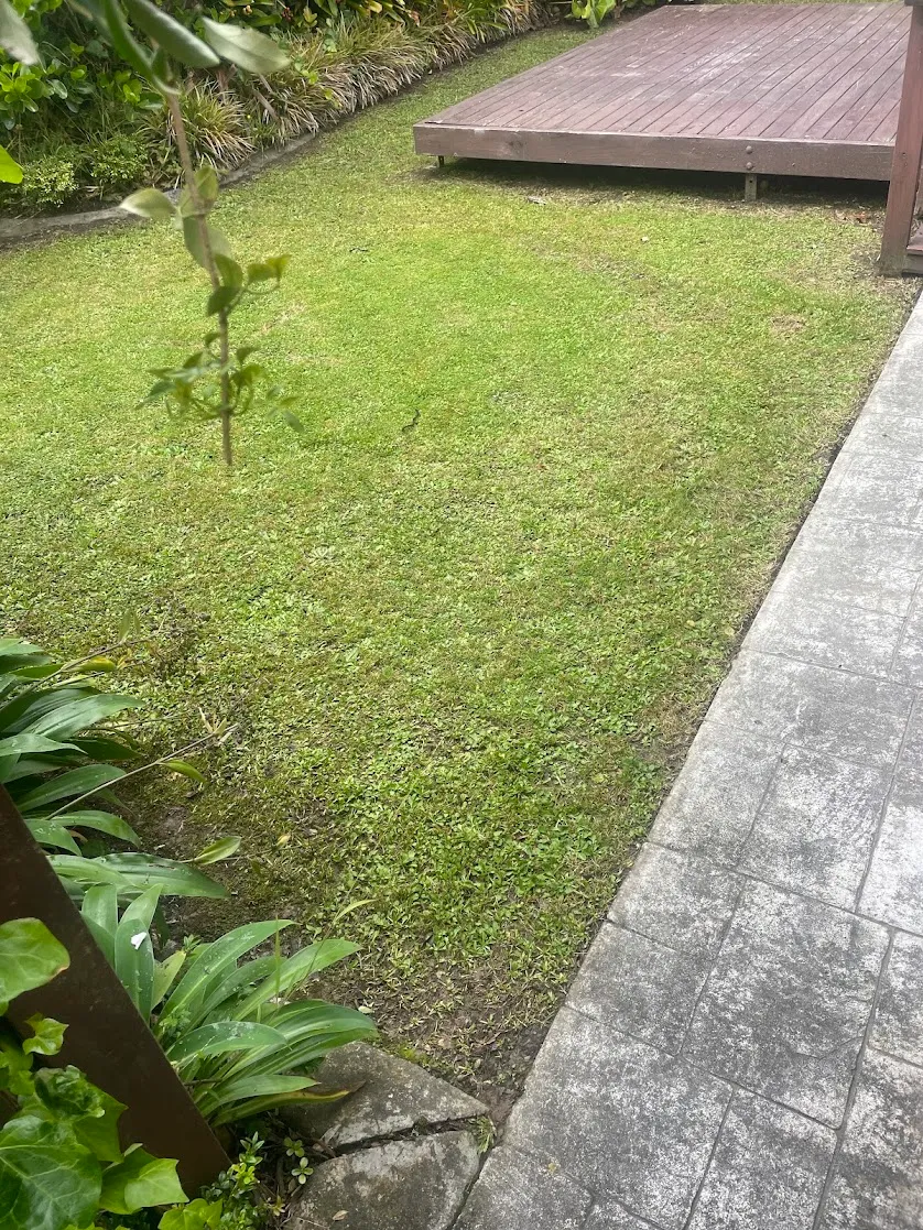 Freshly mowed lawn beside a deck in Wellington