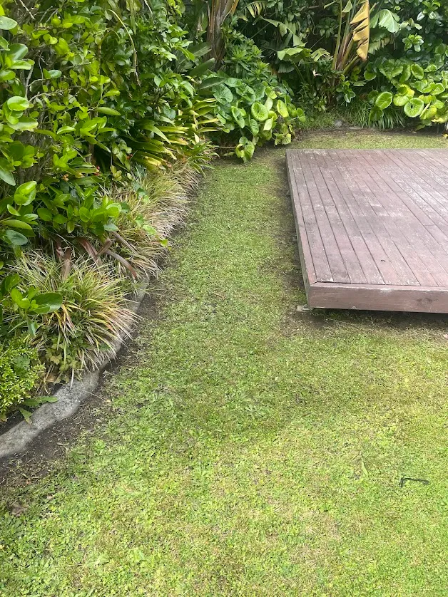 Tidy lawn edge and garden bed on a Wellington property