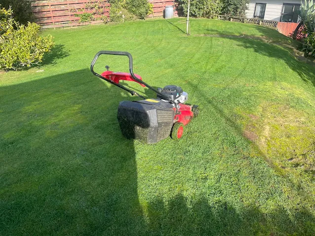 Wide mower stripes on a freshly cut lawn